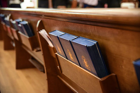 Bibles